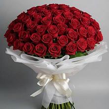 Букет 101 Красная роза Блэк Мэджик в Темижбекской