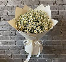 Букет цветов из:  Ромашки в Темижбекской