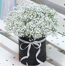 Цветочная композиция из Гипсофила в шляпной коробке #REPLACE_PRED# Темижбекской