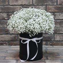 Цветочная композиция из Гипсофила в шляпной коробке в Темижбекской