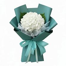 Букет цветов из:  Гортензия в Темижбекской